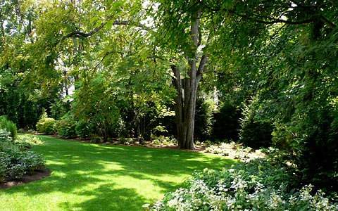 Garden Photo